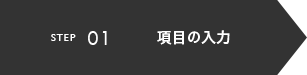 項目の入力